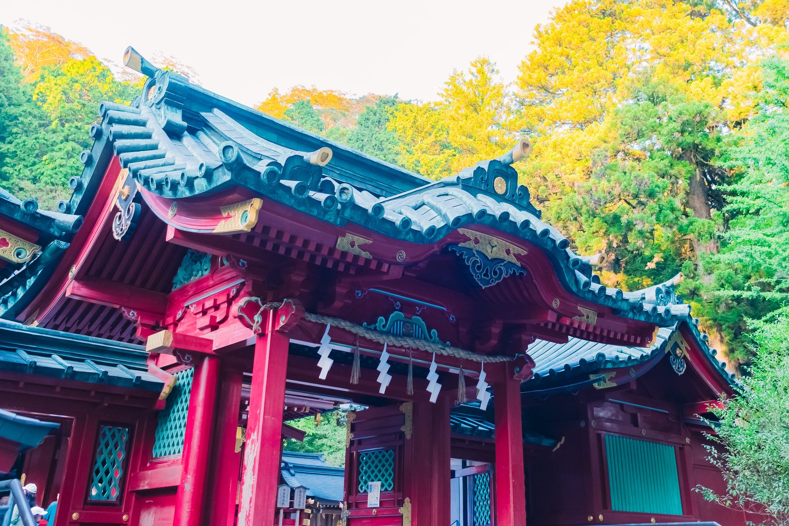 箱根神社の社殿の正面