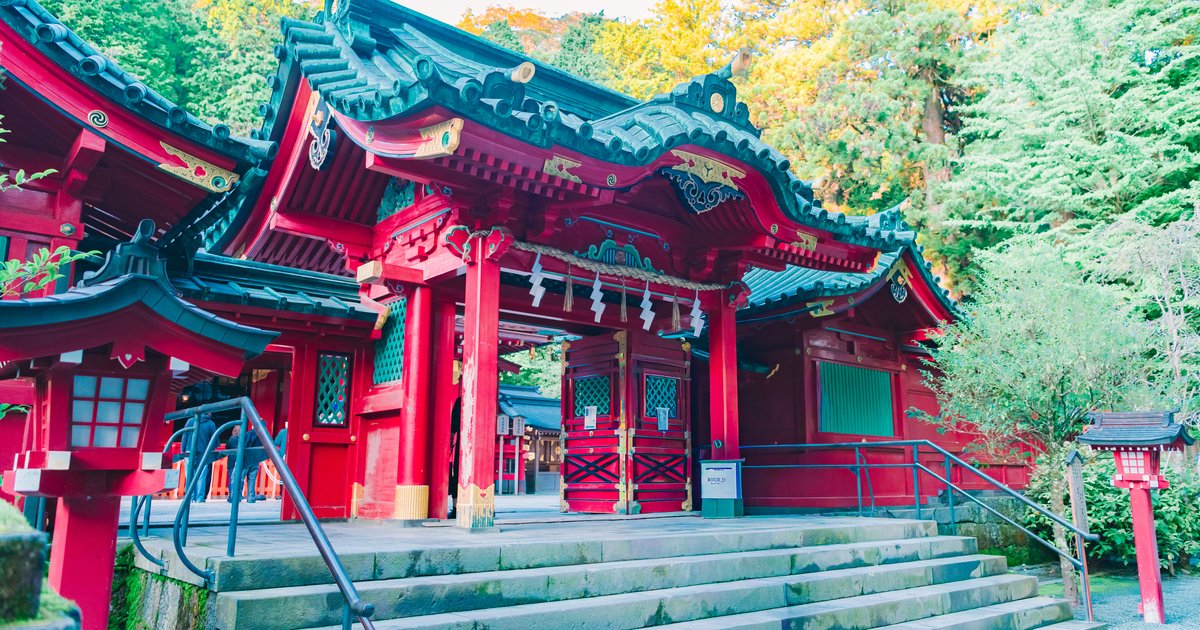 箱根神社の社殿と石段(2026年10月10日撮影)