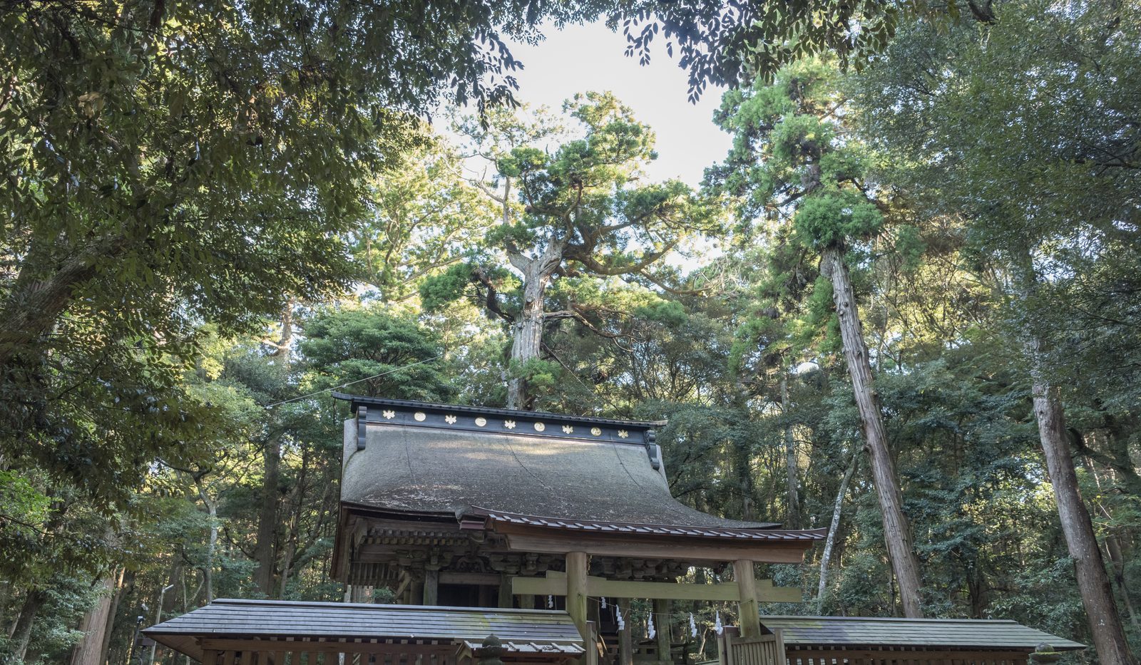 森の中に建つ奥宮の社殿