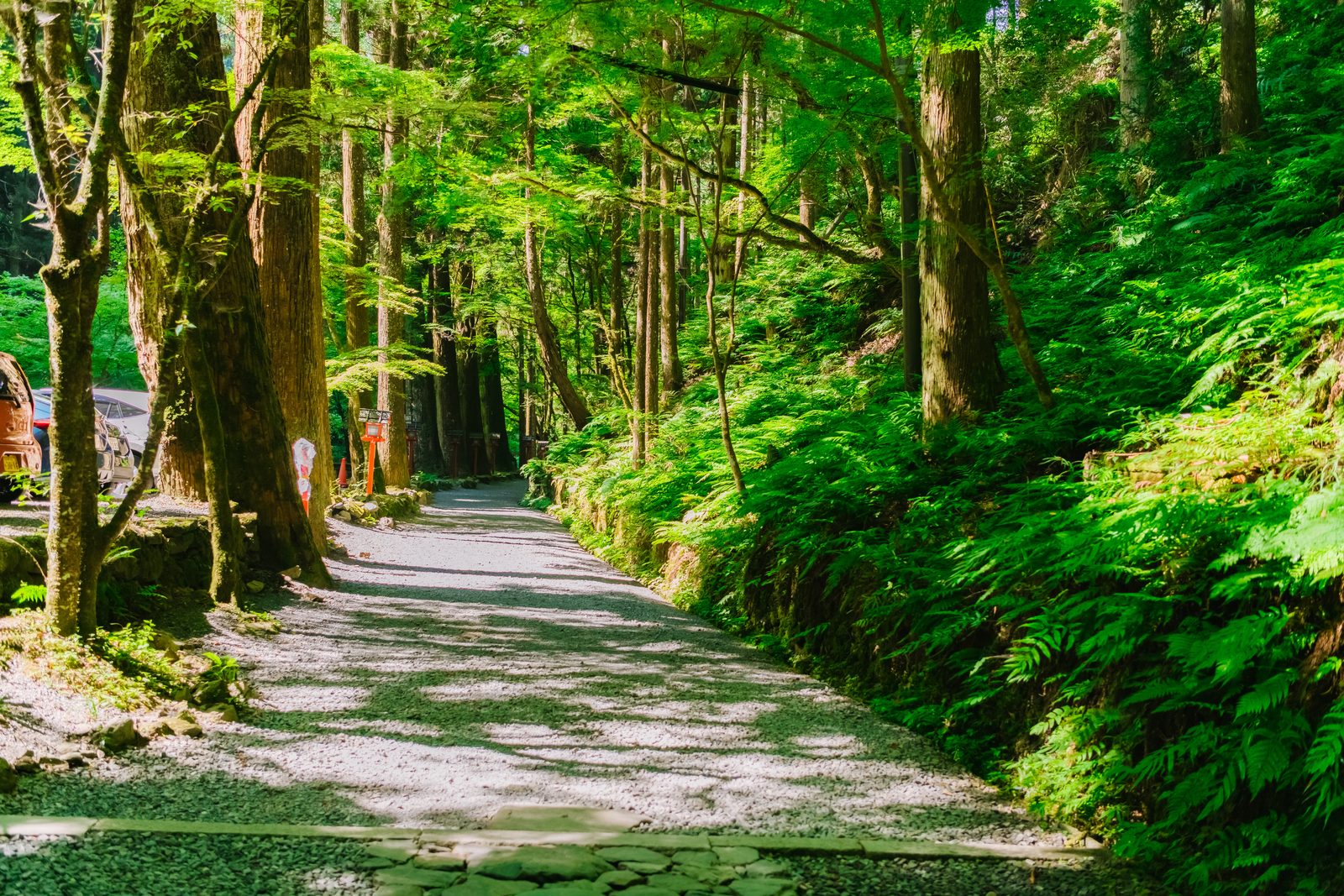 杉木立の中を延びる奥宮の参道