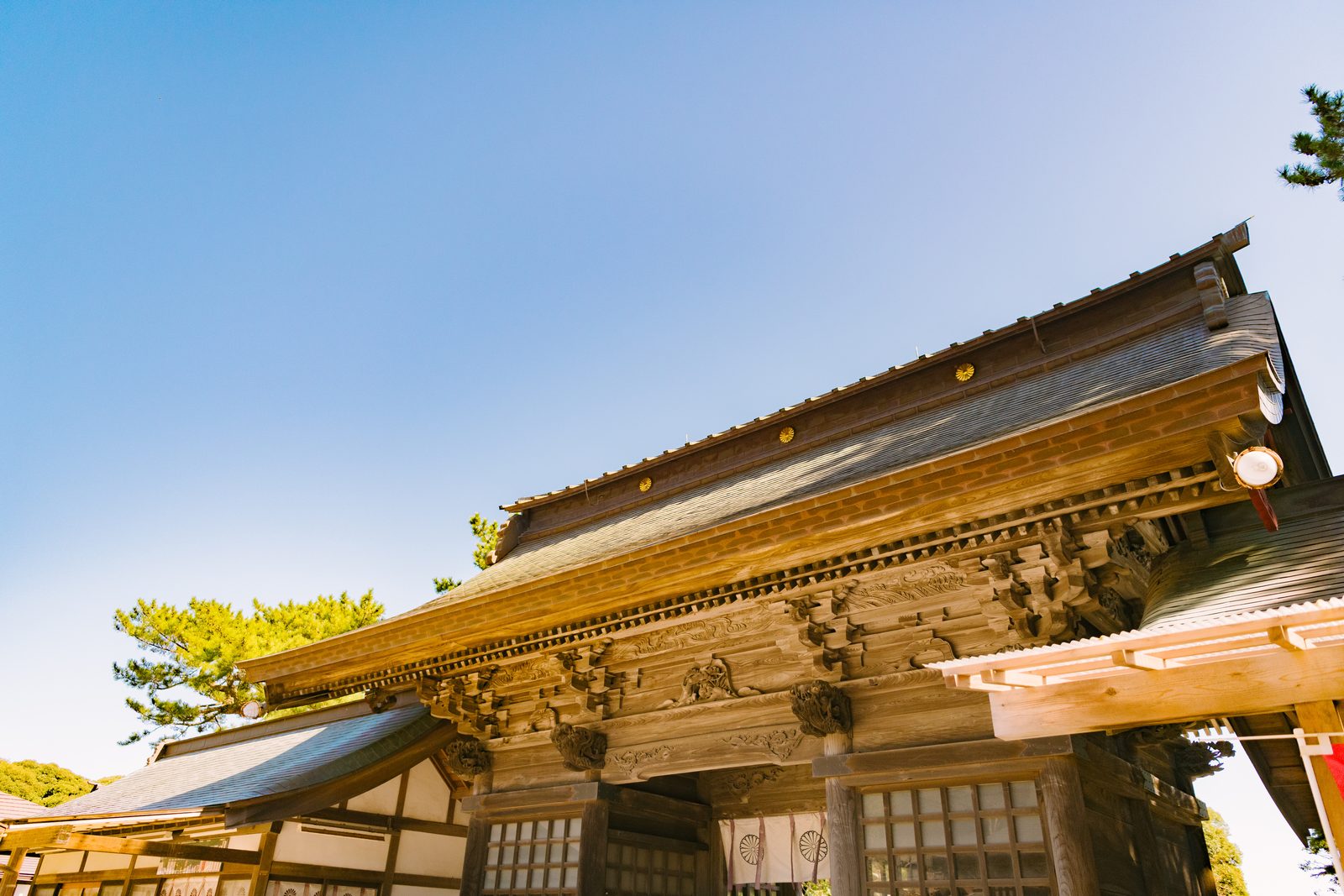 彫刻が施された随神門